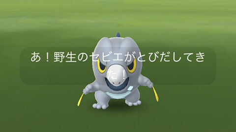セビエ野生0
