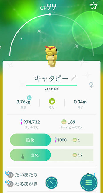 色違いヒノアラシでた22