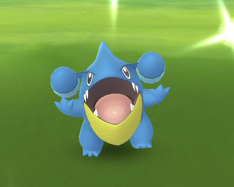 全然足りねーなwwフカマルの色違い100 まだもってないわww ポケモンgo速報まとめ 全然足りねーなwwフカマルの色違い100 まだもってないわww ポケモンgo速報まとめ
