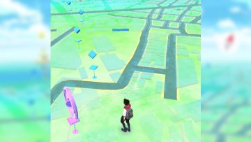 pokemon-go-map-bug