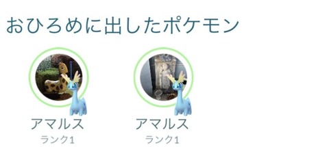 AW御披露目アマルス1
