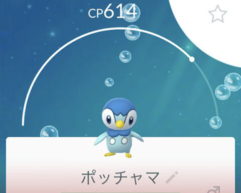 ポケモン ペンギン