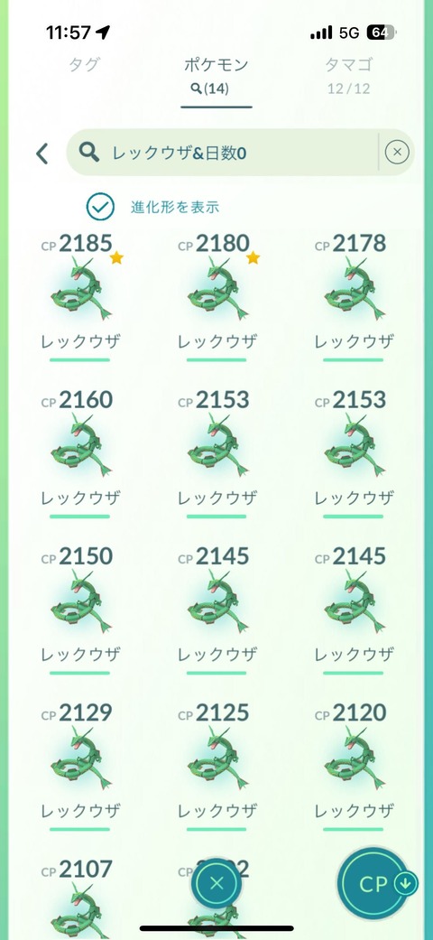 補填レックウザ午前結果4