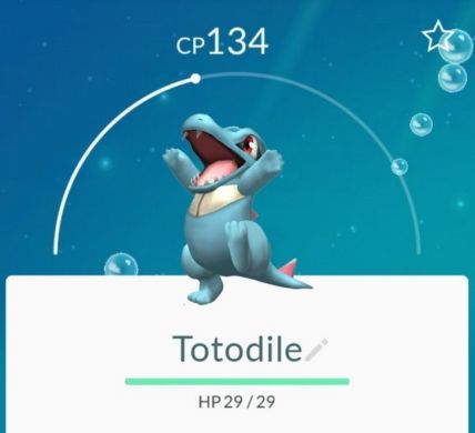 ポケモンgo チコリータやワニノコって本当に卵から出るの ポケモンgo速報まとめ