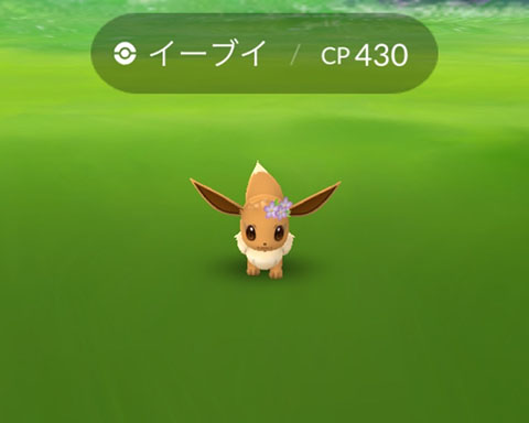 花イーブイかわいいだろ 進化先が選べないからな ポケモンgo速報まとめ 花イーブイかわいいだろ 進化先が選べないからな ポケモンgo速報まとめ