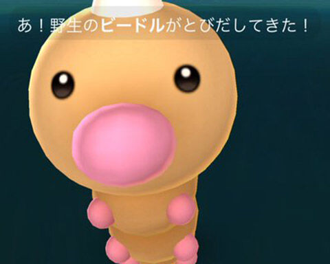 ビードル近すぎwww慣れればカーブエクセレントも余裕になるぞwww ポケモンgo速報まとめ ビードル近すぎwww慣れればカーブエクセレントも余裕になるぞwww ポケモンgo速報まとめ