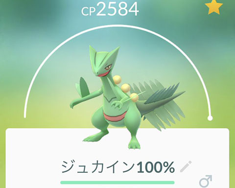 ジュカイン使道0