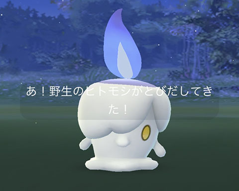 HWヒトモシ大量000