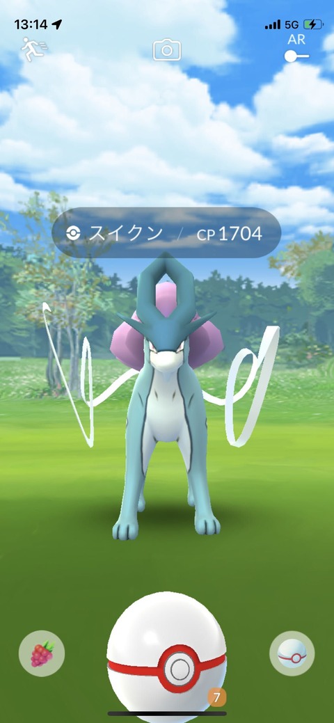 三犬FFF自慢1