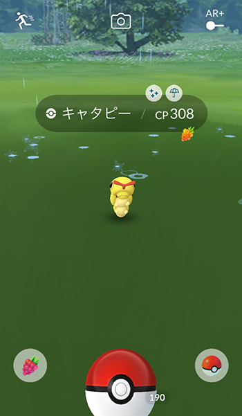 ポケモンgo キャタピーの色違い本当にいるの 報告を全然聞かない ポケモンgo速報まとめ ポケモンgo キャタピーの色違い本当にいるの 報告を全然聞かない ポケモンgo速報まとめ