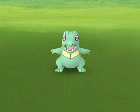 これ色違い 普通のワニノコに見えるんだけどｗｗ ポケモンgo速報まとめ