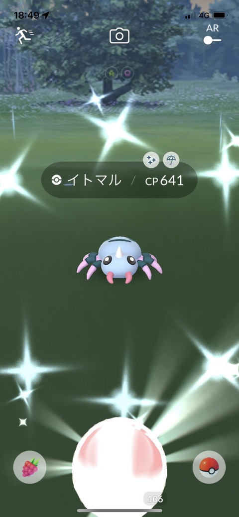 Spotイトマル色収穫2