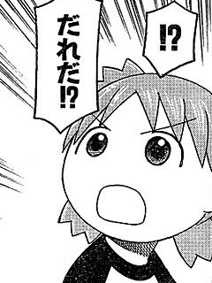 ダイノーズ実装2