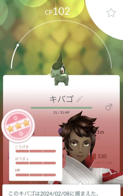 旧正月高個体3