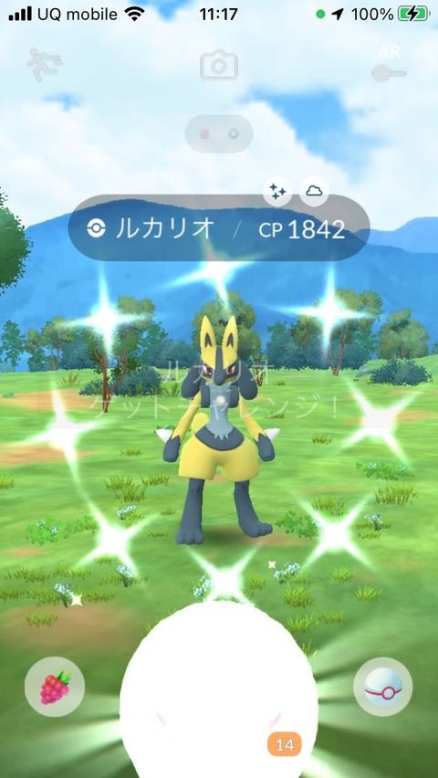 メガルカリオ色出2