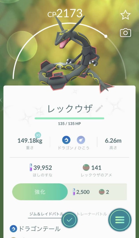 RECゴール1