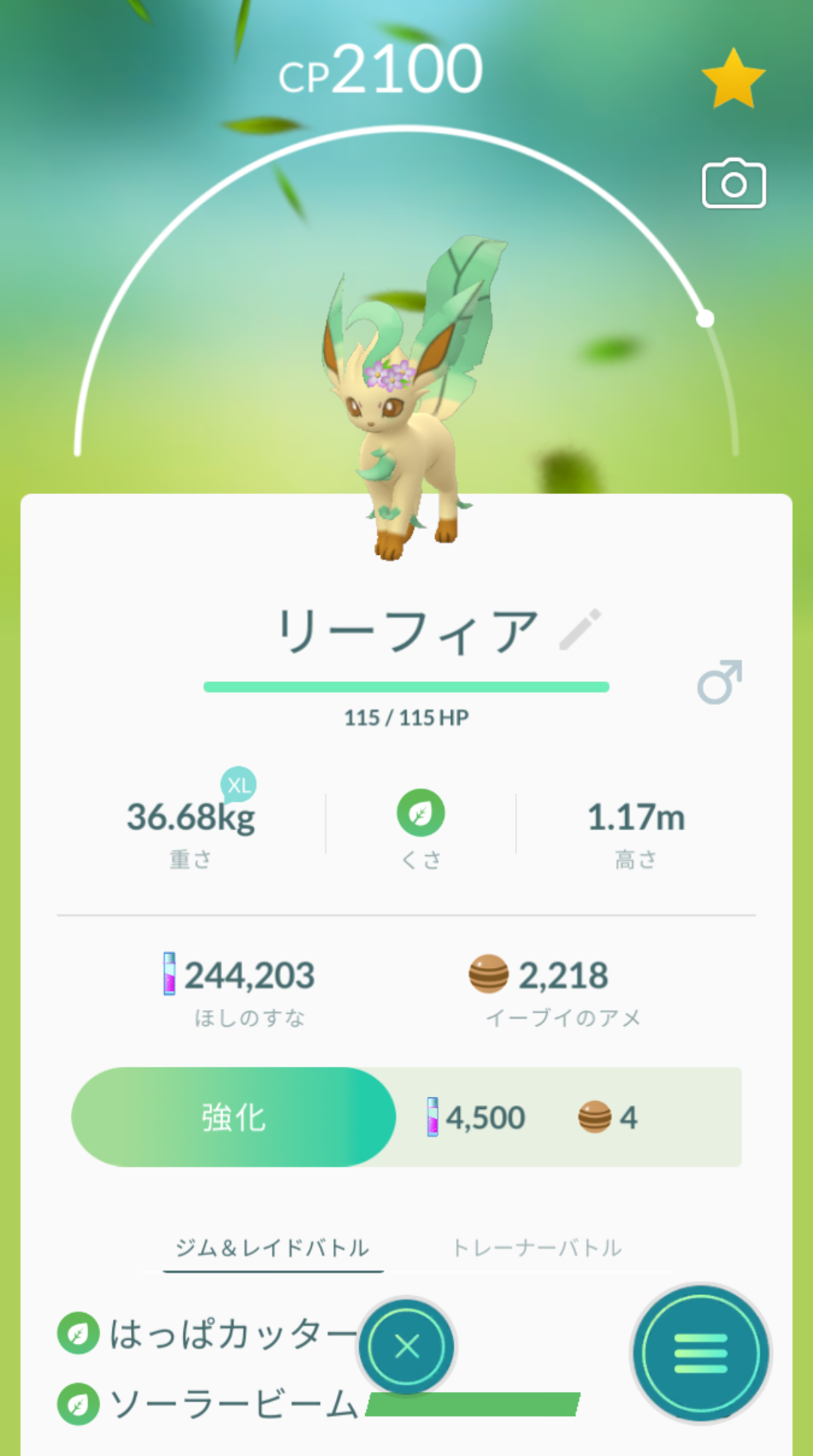 花イーブイかわいいだろ 進化先が選べないからな ポケモンgo速報まとめ