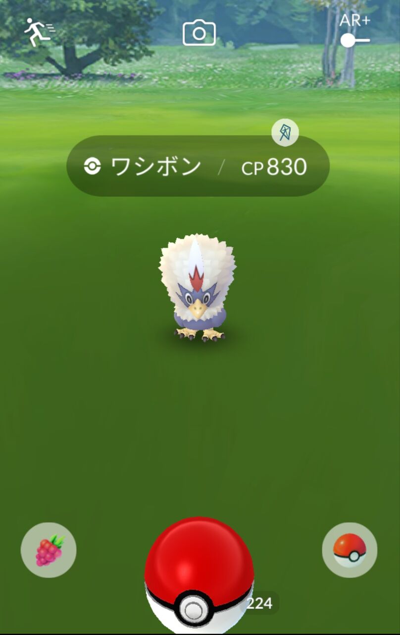 レア枠だろwwタツベイ探してるけど本当に出てるの ポケモンgo速報まとめ レア枠だろwwタツベイ探してるけど本当に出てるの ポケモンgo速報まとめ