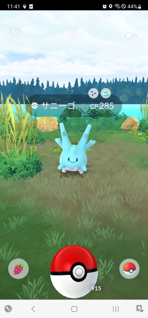 Global色サニーゴ野生1