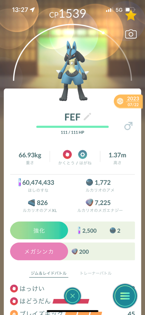 メガルカリオFFF行渡無1