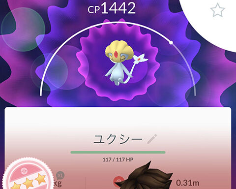 1匹目でゴールｗｗユクシーってリーグで強いの ポケモンgo速報まとめ