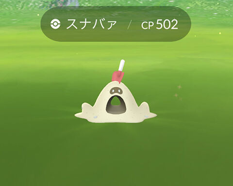 WFスナバァ野生00