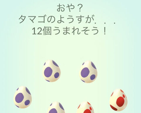 Mayメラルバ孵化000