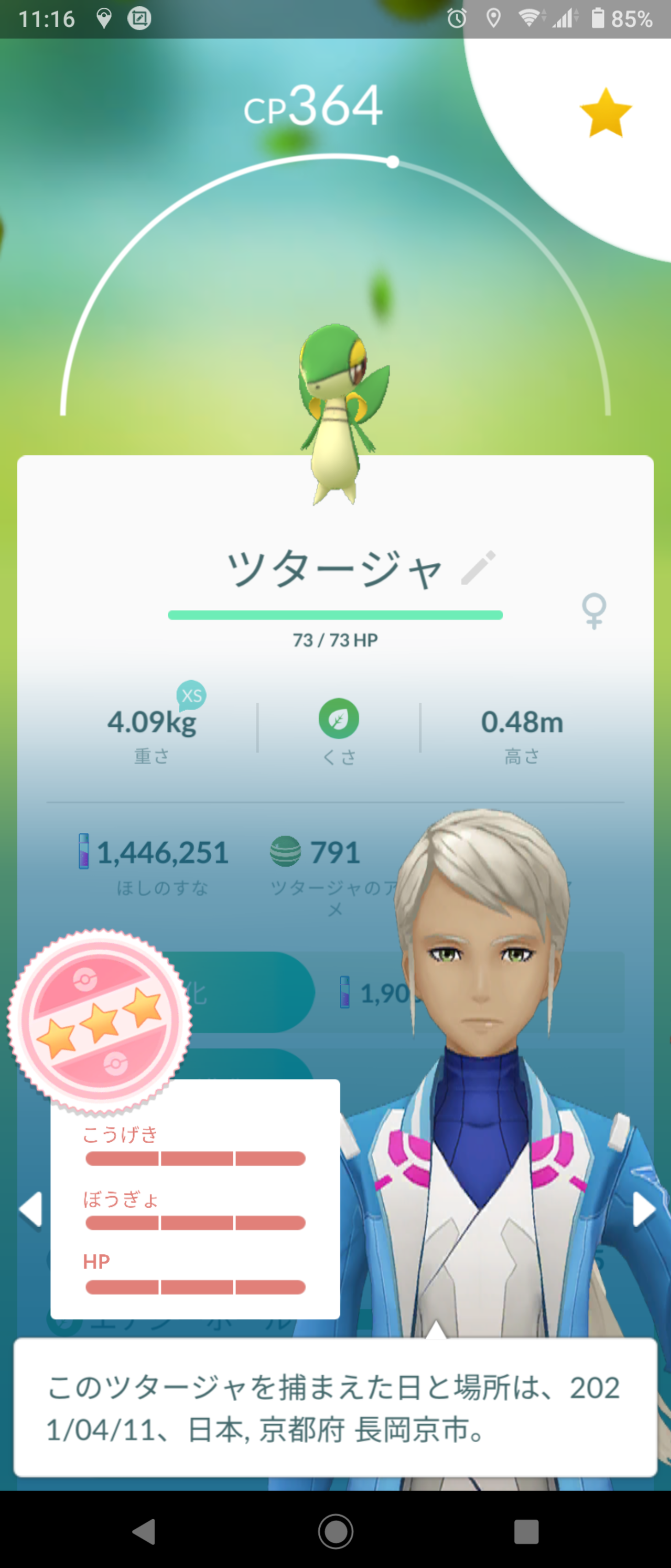 そういう枠だからｗｗツタージャはとりあえず色違い100 が取れればいいやｗｗ ポケモンgo速報まとめ