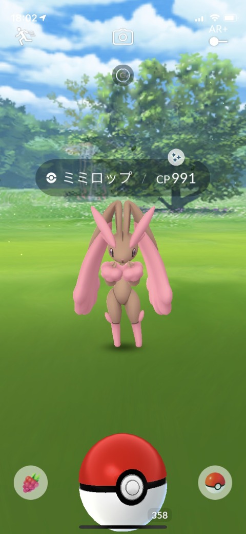 フェアリーY後色自慢1