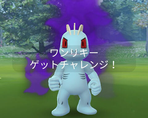 このシャドウワンリキーってリトレーンしない方がいい ポケモンgo速報まとめ