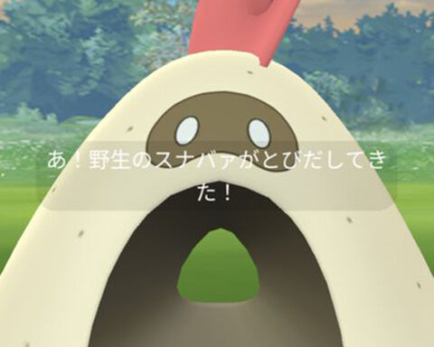 WFスナバァ野生0