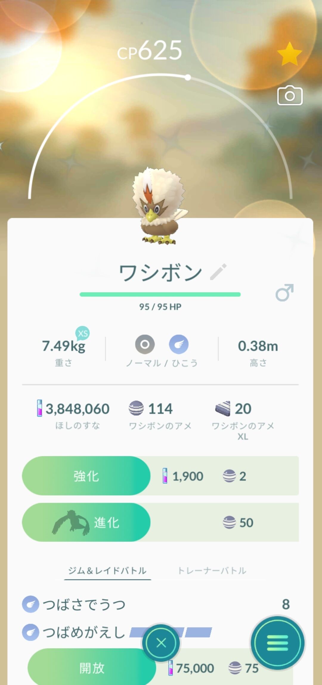 色違いワシボンでた それってつまり500回やって1匹の確立なのか ポケモンgo速報まとめ