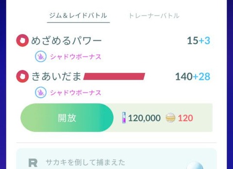 榊Sレジギガス成果3