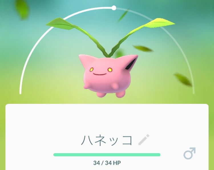 ポケモンgo ワタッコに逃げられる ポケモンgo速報まとめ ポケモンgo ワタッコに逃げられる ポケモンgo速報まとめ