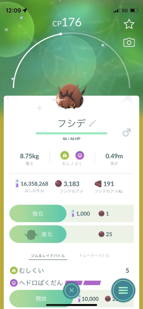 虫イベ色フシデ行渡1