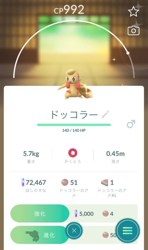 FESTドッコラー沸1