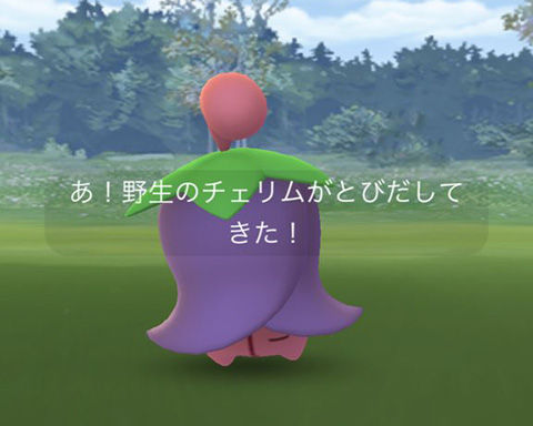 ニアバイ新ポケ0