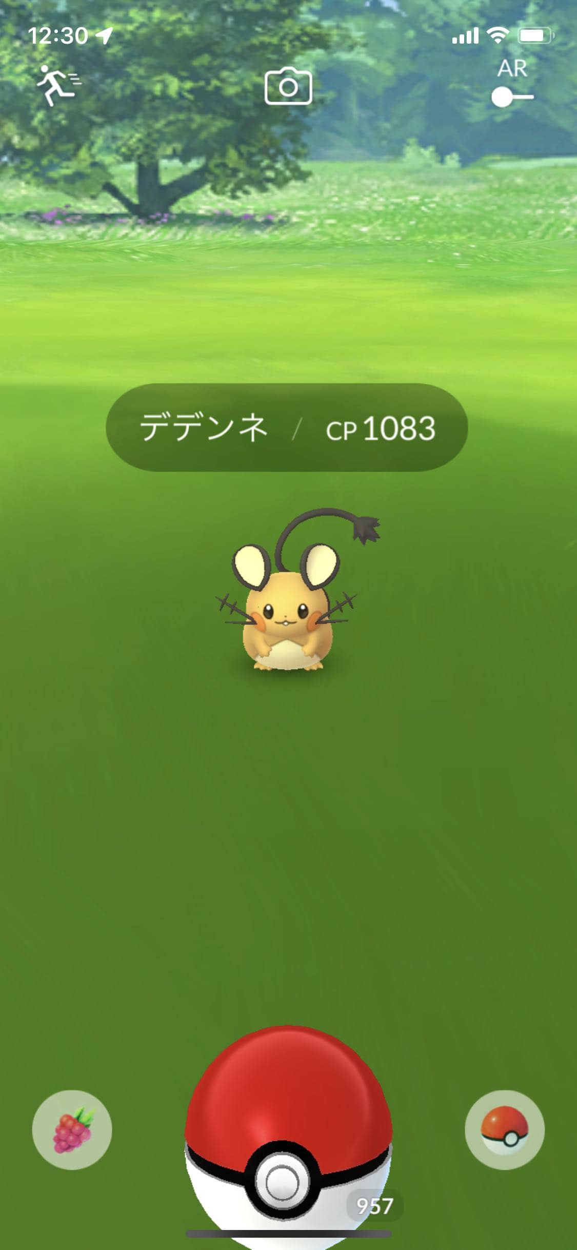 デデンネは色違いいるのか 光のフェスティバル開始ｗｗ ポケモンgo速報まとめ