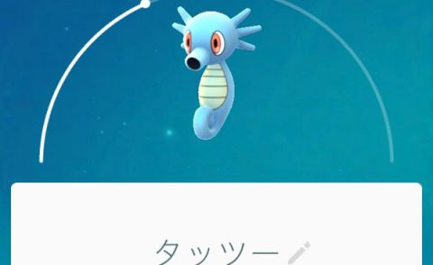 効率の良い経験値の稼ぎ方がこちらｗｗｗあわマラソンを覚えようｗｗｗ Re ポケモンgo ポケモンgo速報まとめ