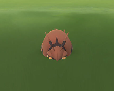 虫イベ色フシデ行渡0