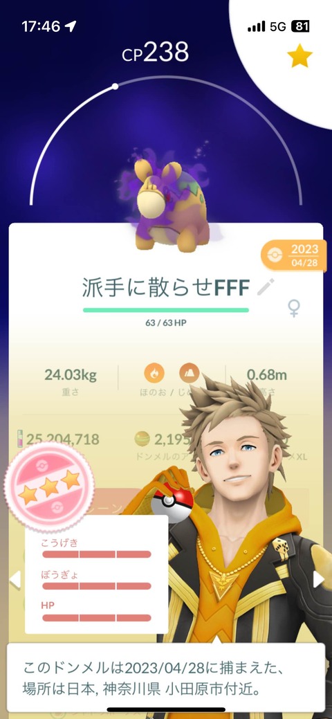 SポケモンFFF自慢2
