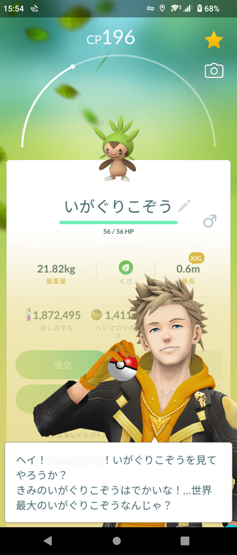Janサイズレア4