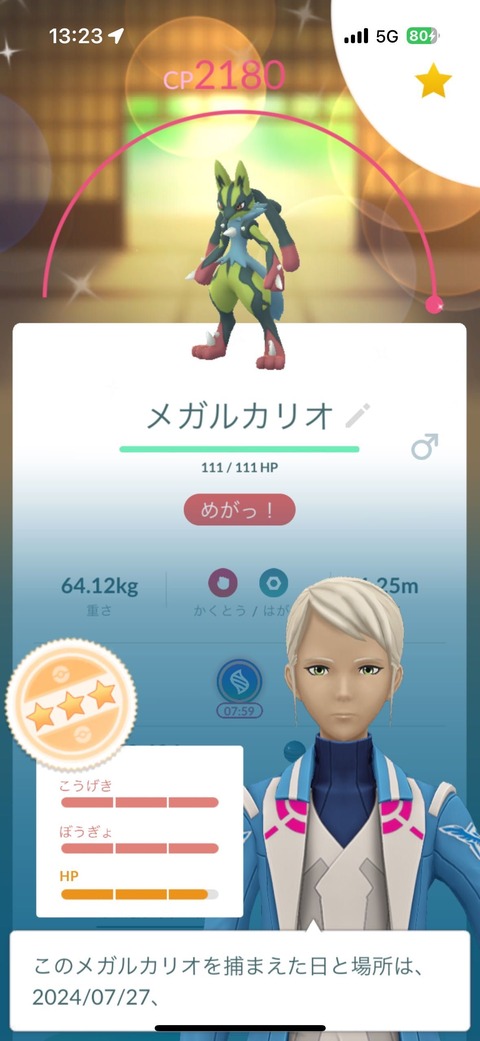 メガルカリオ色FFF完4