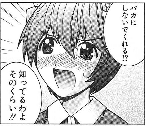レイド視覚アプデ1