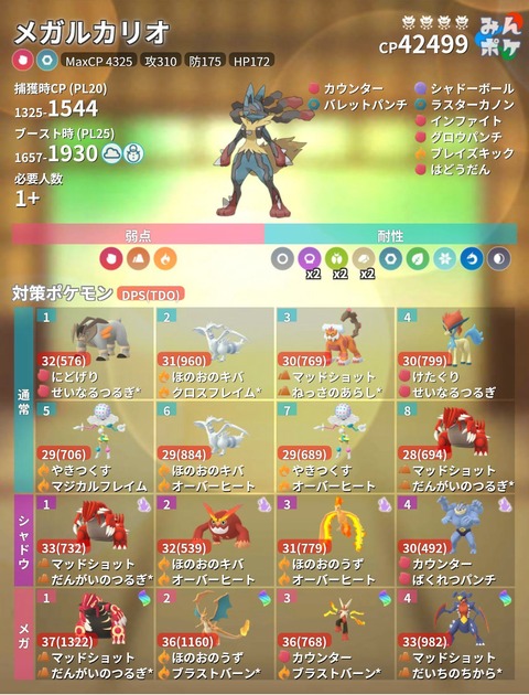 メガルカリオ対策1
