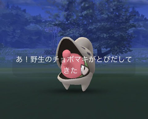 チョボマキ野生0