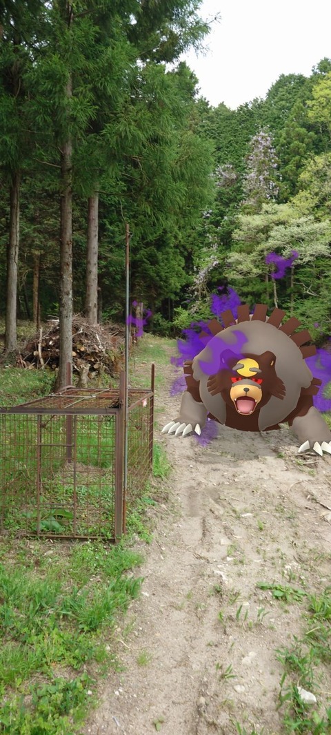 kantoルカリオFFF5