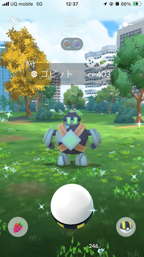 Global色ピカチュウ冠3