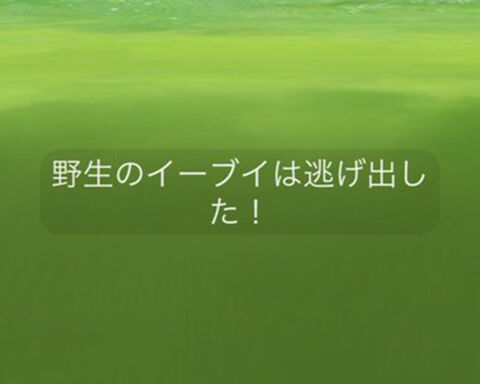 本当に捕獲率アップされてる ポケモン捕まえにくいんだけどｗｗ ポケモンgo速報まとめ