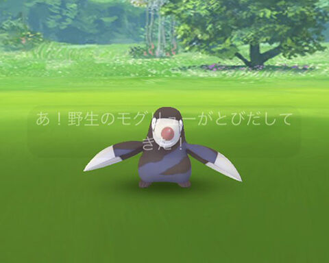 土竜レア00